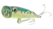 Bassday Backfire 65 Popper *65mm Topwater Bass Rapeseed Japanese Lure*