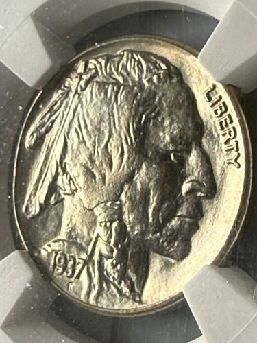 1937 5C Buffalo Nickel NGC MS 66-Near Perfect, Sharpest Detail Near Proof Luster