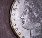 1902-O Morgan Silver Dollar, VAM 20, Doubled Profile, Two Olives — photo 3