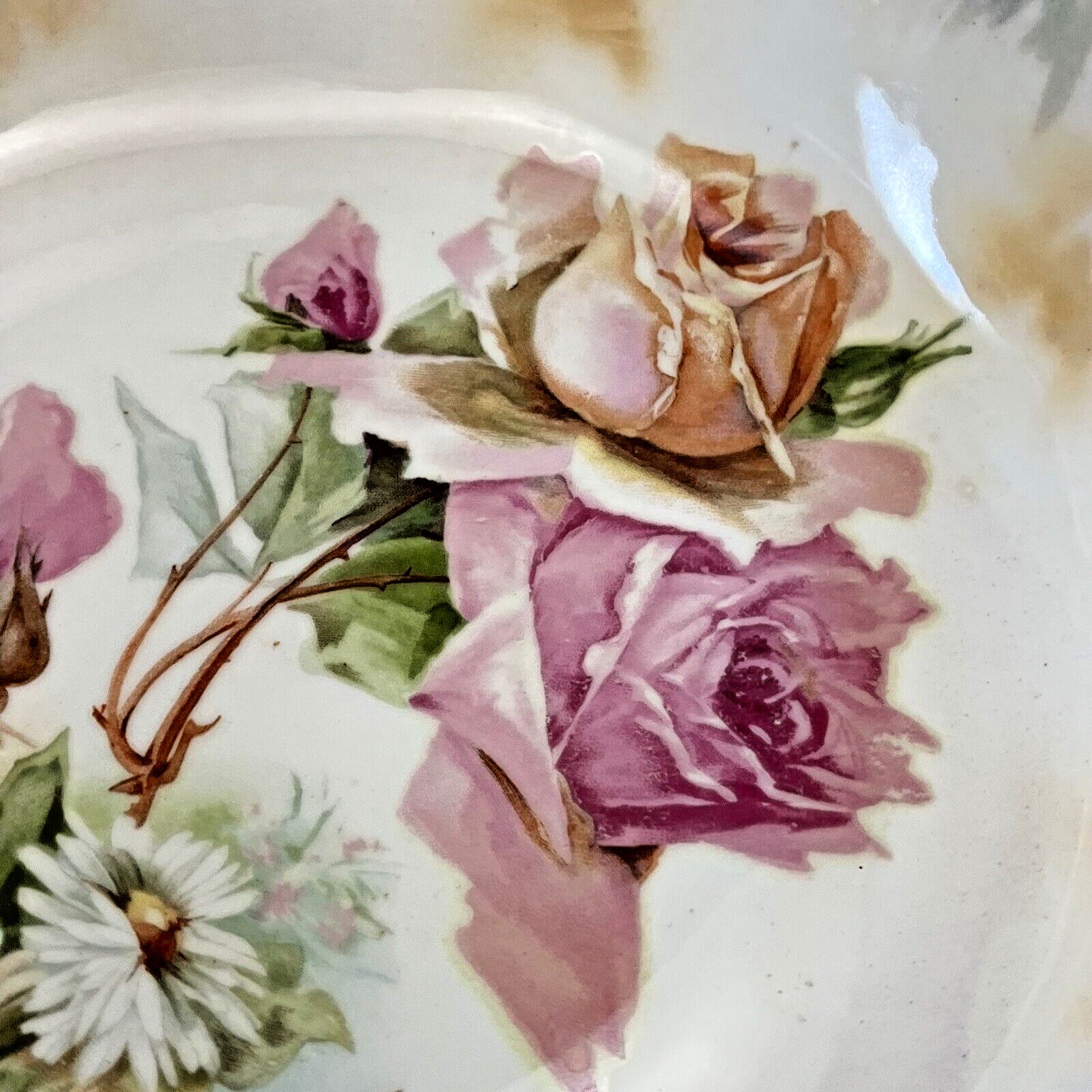 Picture 6 of 12