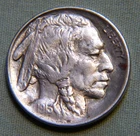 1913 P United States Buffalo Nickel 5 Cent Coin - AU With Full Horn -Lot 958