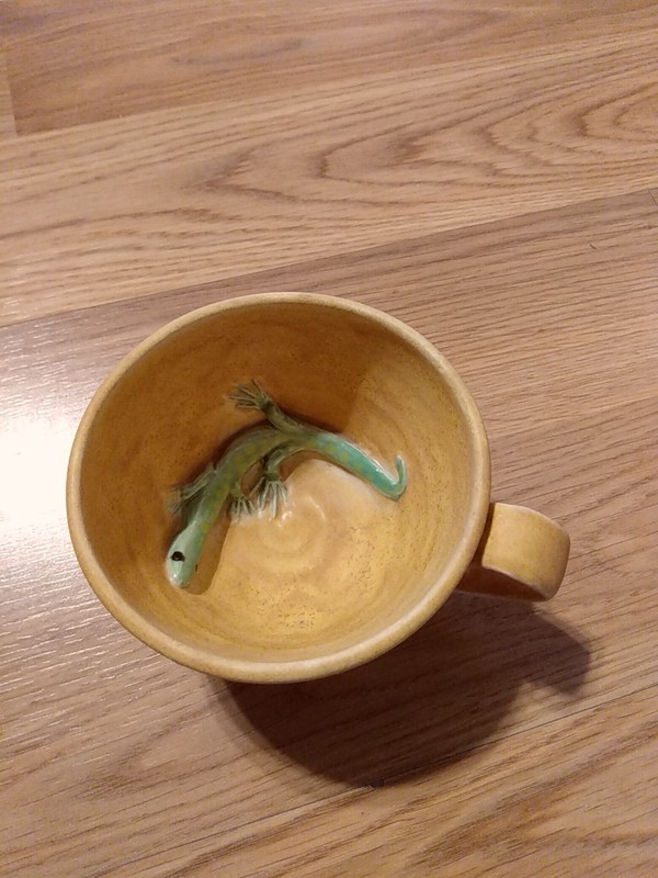 Gecko Cup Signature Piece Fantastic Graphics