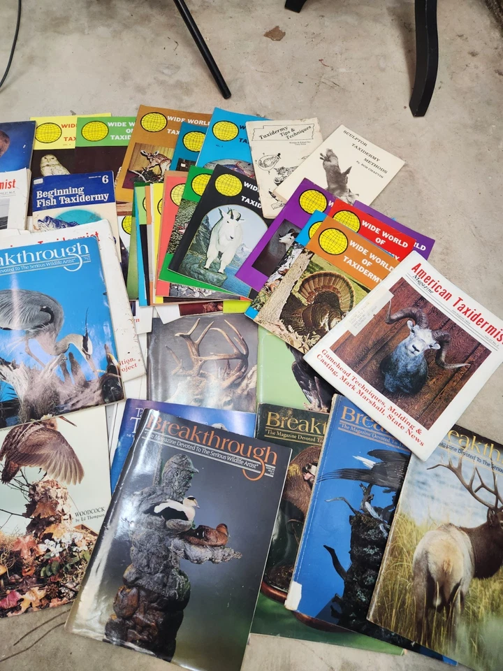 Taxidermy Mixed Lot Of 47 Items Breakthrough Magazines Wide World Of Taxidermy - Image 3 of 4