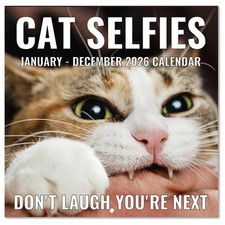2026 Wall Calendar - Funny Cats 2026, 12" x 24" Open , x