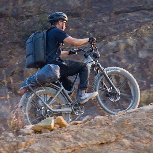 Fiido Titan Electric Cargo Bike - Picture 12 of 12