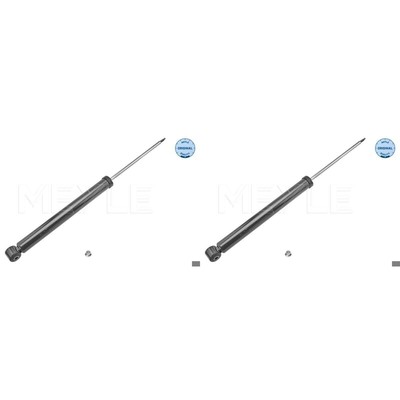 Frankberg – 2 Ammortizzatori A Gas Posteriori (coppia, Sinistra+destra) Per Renault Laguna II (Berlina E Sw, 2001-2007) – Senza Sospensioni Sportive