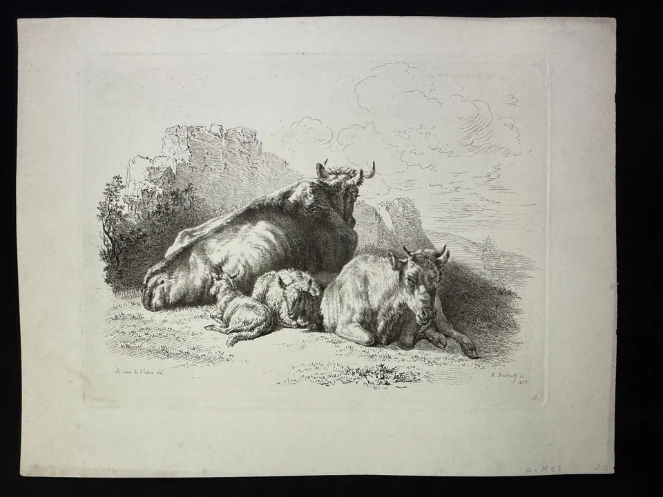 Adam von Bartsch, Ruhende Rinder mit zwei Kälbern 1805 A. van Velde - Bild 4 von 4