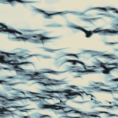 Bellbird - The Call NEW Vinyl