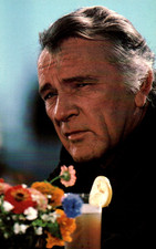 Richard Burton, Actor