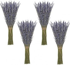 Timoo Dried Lavender Bundles 100 Natural Flowers for 4 Pack