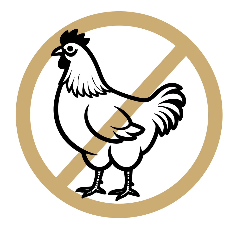 Nassfutter Hund 400g/ 800g Getreidefrei Hundefutter in Dosen 1DOG | alle Sorten - Bild 3 von 4