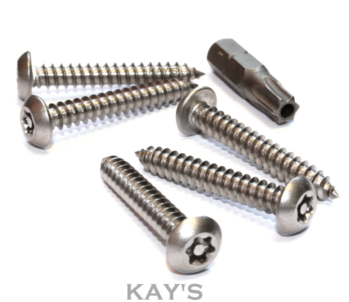 TORX BUTTON HEAD SELF TAPPING SECURITY WOOD SCREWS STAINLESS STEEL