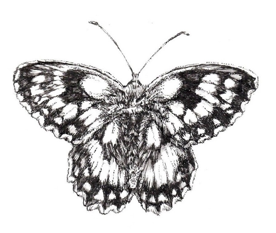 Picture 1 of 6