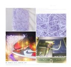 Foto 7 di 21