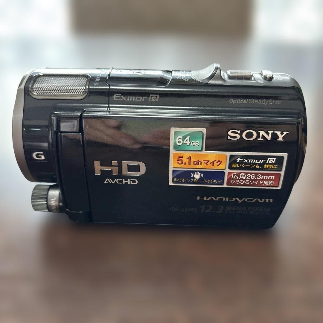 Sony Handycam HDR-CX560V Black Full HD Digital Video Camera 10x