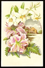 VTC JERSEY COFFEE DAYTON SPICE MILLS OH Victorian Trade Card FLORAL HOME HOUSE
