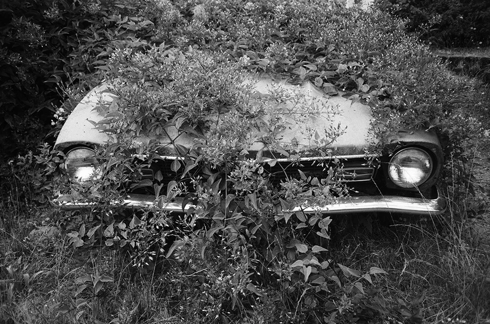 Película en blanco y negro Rollei RPX 100 35 mm 36 Exp *RECIÉN FECHADA * Foto 2 de 4