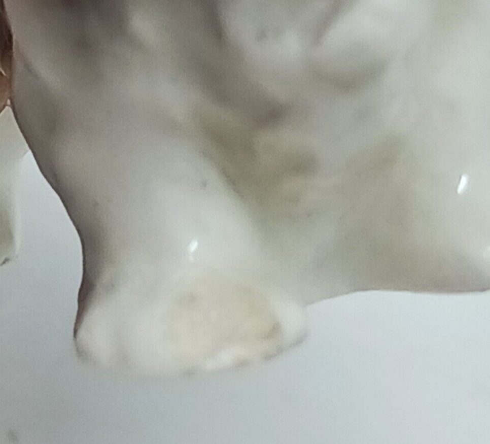 Picture 8 of 9