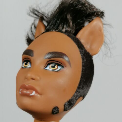 Monster High Pack of Trouble Clawd Howleen Clawdeen Wolf Familie Set gebraucht LESEN - Bild 10 von 19