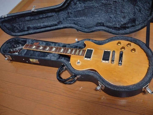 Gibson Les Paul Standard Raw Power 2006 Emg No.MG735
