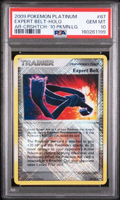 Expert Belt