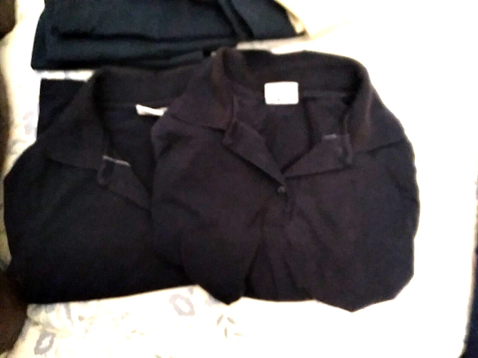 BONITO 10 PIEZAS Lote de Uniformes Escolares-Talla 10 2 Camisas, 6 Pantalones, 1 Skort, 1 Pantalones Cortos Foto 4 de 4