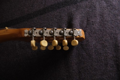 Armadillo Charango South American oddity instrument. Read please. Antique - Picture 18 of 19
