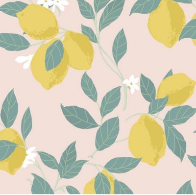 2x Rolls Envy  Jealous Much?  Matte Wallpaper   Feeling Fruity Blush