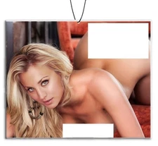 5PCS Sexy Pinup Girl Car Home Office Air Freshener Long Lasting