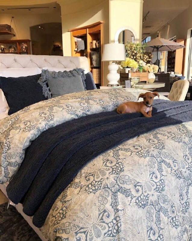 Pottery Barn Janelle Damask Duvet Cover Blue Queen Scroll Paisley No