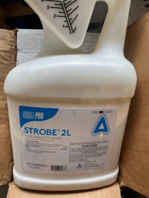 Strobe 2L Liquid  1 Gallon