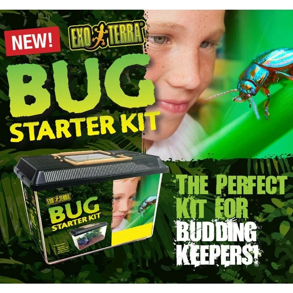 Exo Terra Bug Starter Kit Faunarium Spider Millipede Beetle House