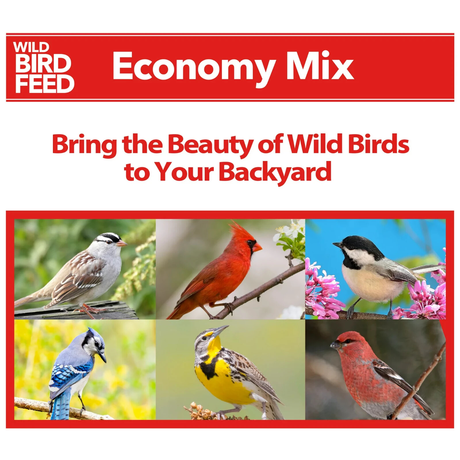 Economy Mix Wild Bird Feed, Value Blend of Bird Seed, 20 lb Bag Thư