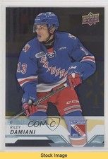 2018-19 Upper Deck CHL Silver Riley Damiani #115 READ t4m