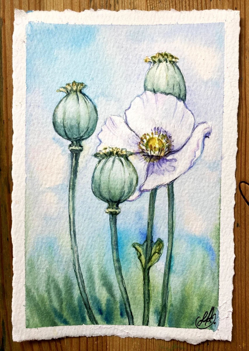 Poppy Painting for sale | eBay