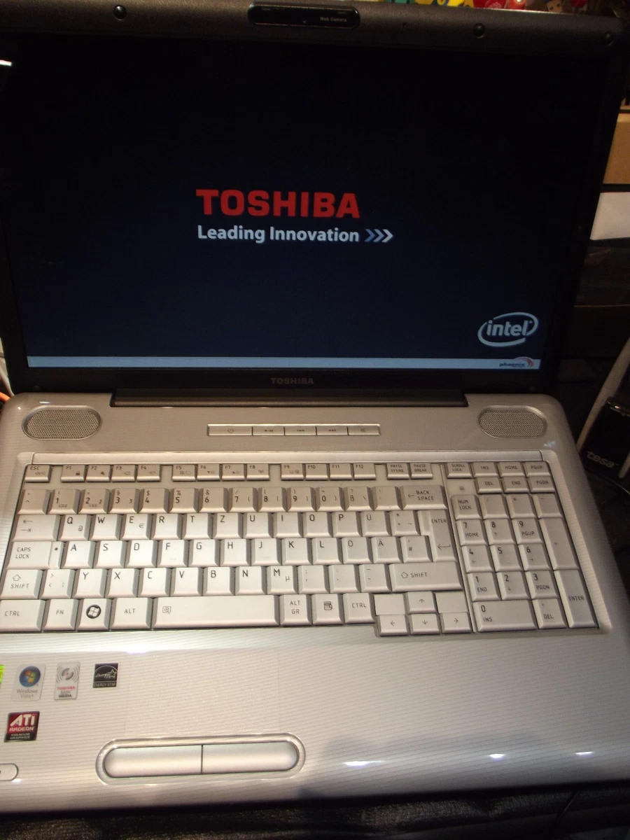 Cerniere LCD Per Toshiba Satellite L55t-B5271 &ndash; Set Destro E Sinistro, Ricambio Originale Usato