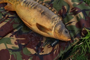 carp unhooking cradle