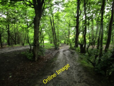 Photo 6x4 Very slippery path Rothwell/SE3428 After three days of almost  c2014