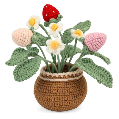 Beginner Crochet Plant Kit Cute Daisy Flowers and Strawberry DIY Crochet Kit