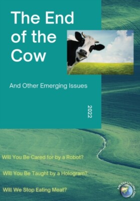 Inayatullah - End of the Cow  And Other Emerging Issues - New paperbac - X555z