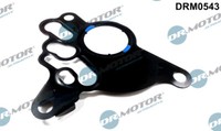 Dr.Motor Automotive DRM0543 Gasket, Vacuum Pump For Audi Seat Skoda VW
