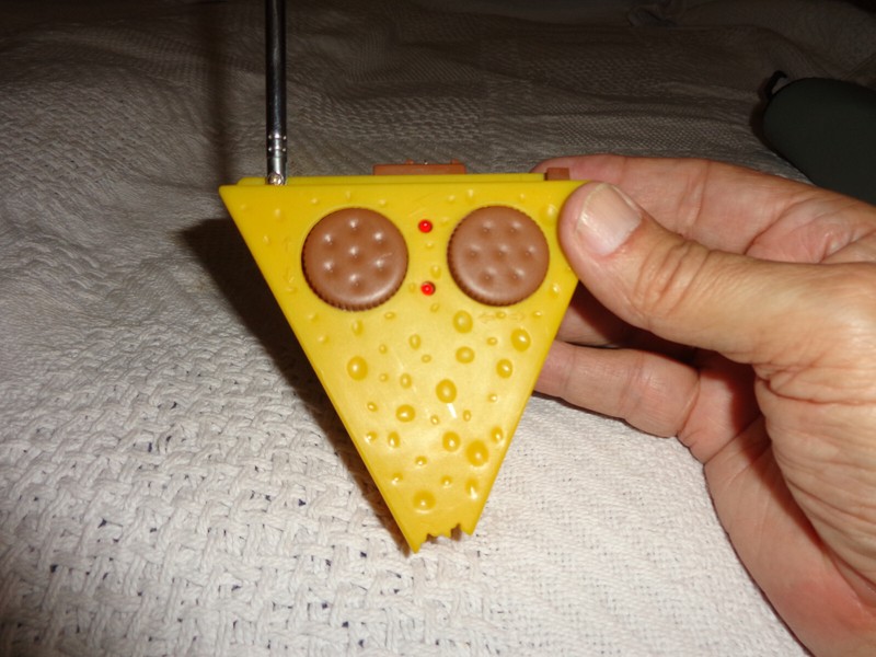 worldwise remote control with antenna the light on top goes on.