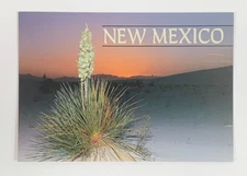 White Sands National Monument New Mexico Postcard Unposted