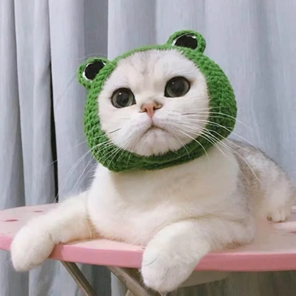Frog hat cheap
