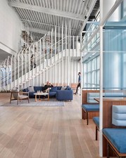 3 Packs Junckers Oak Golden Pearl | Harmony - Plank Solid Wood | 20.5 x 185mm