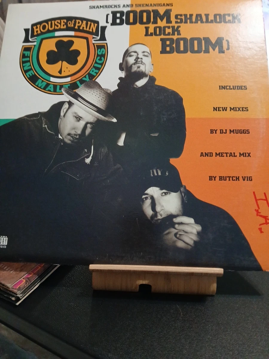Rap & Hip-Hop Old School Very Good (VG) Sleeve LP Vinyl Records