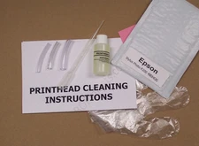 Epson Stylus Photo R200 Printhead Cleaning Kit (Everything Included) 480HOG