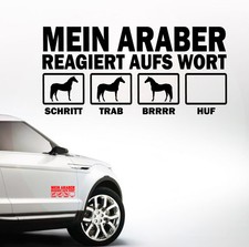 Auto Aufkleber Mein ARABER reagiert aufs Wort Pferd Pferde SIVIWONDER