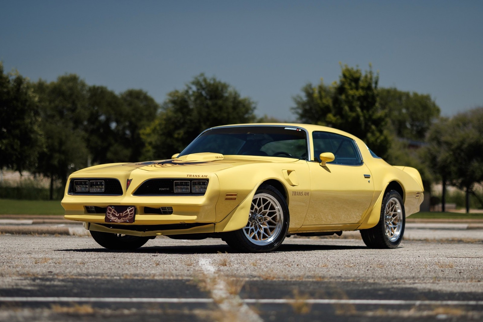 1977 Pontiac Firebird for sale in Carrollton Texas