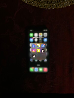 Apple iPhone 12 Pro Max w/ TikTok installed